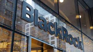 BlackRock Data Deal Catapults UK Tech Entrepreneur to Billionaire Status